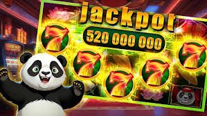 tucano bet